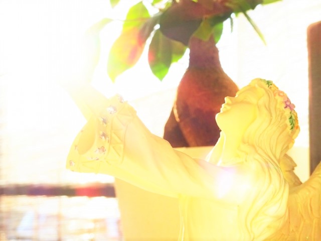 2020年、感謝の締めくくり